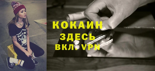 mdpv Богородицк