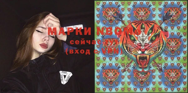 прущие грибы Белокуриха