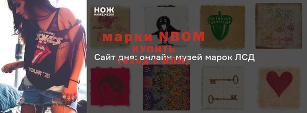 mdpv Богородицк
