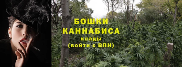 mdpv Богородицк