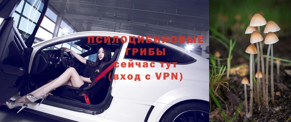 mdpv Богородицк