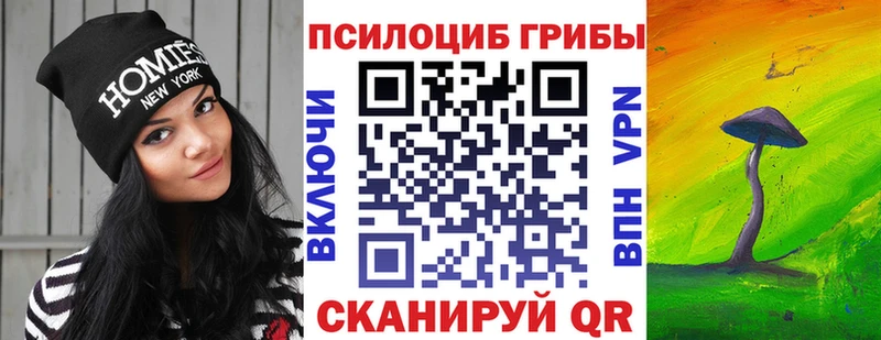 купить цена Большой Камень Псилоцибиновые грибы прущие грибы