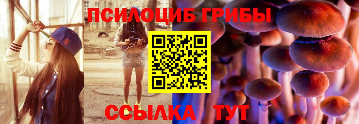Псилоцибиновые грибы мухоморы  Галлюциногенные грибы Psilocybe  Вход с VPN  Большой Камень 